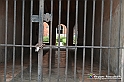 VBS_5763 - Riqualificazione Abbazia di Staffarda